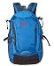 F Gear Fortune 30 Ltrs Blue Casual Backpack (2604) RS.996.00