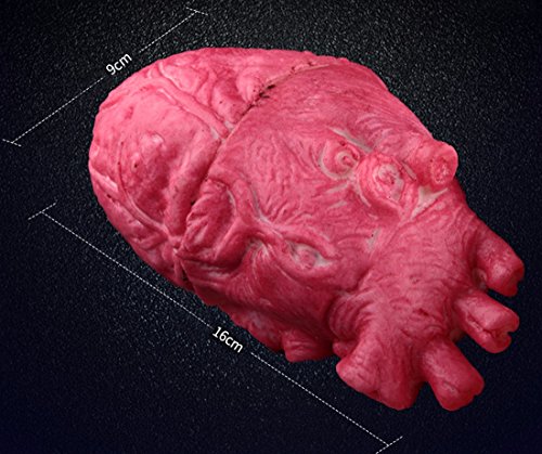 QIYUN.Z Halloween Props Realistic Latex Gory Human Blood Arm / Hand / Finger / Foot, Life Size Scary Bloody Blood Body Parts for Halloween Party Indoor Outdoor Cosplay Decor QIYUN.Z Halloween Props Realistic Latex Gory Human Blood Arm / Hand / Finger / Foot, Life Size Scary Bloody Blood Body Parts for Halloween Party Indoor Outdoor Cosplay Decor
