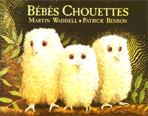 couverture de : Bébés chouettes
