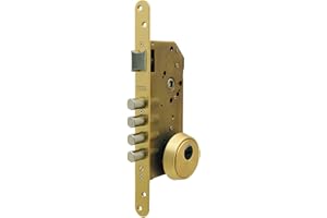 Tesa Assa Abloy R200B566L Cerradura De Seguridad Monopunto Con Cilindro T60, Acero Inoxidable/Dorado