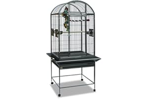 Montana Cages | Käfig, Voliere Finca II mit Rundbogendach - Antik der Vogelkäfig für Sittiche & Papageien