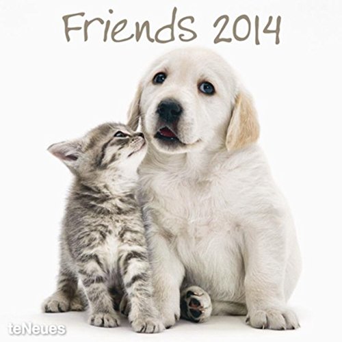 Friends 2014 Broschürenkalender