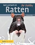Image de Ihr Hobby Spiel und Spaß mit Ratten