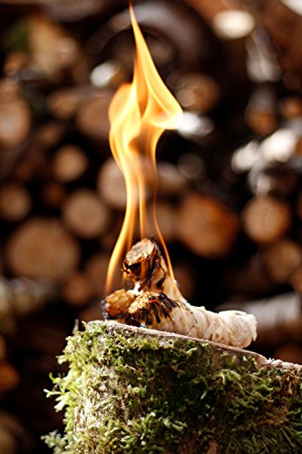 ActiveVikings – Kamin&Grillanzünder Probepackung (Mengen 2,5kg 3kg 5kg) ——— Ökologische und Biologische Anzünder, Ideal für Ihren Kamin und Grill, 0.03 kg (2 Stück).( Bioanzünder Grillanzünder Kaminanzünder Ofenanzünder Holzanzünder Holzwolle) (0.03) - 2