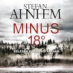 Minus 18 Grad (Ein Fabian-Risk-Krimi 3)