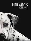 Dogs 2013 by Dr. Ruth Marcus