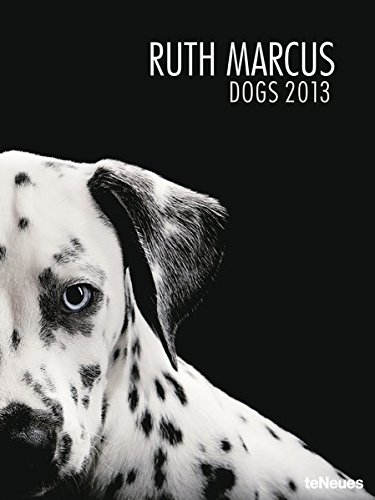 Dogs 2013