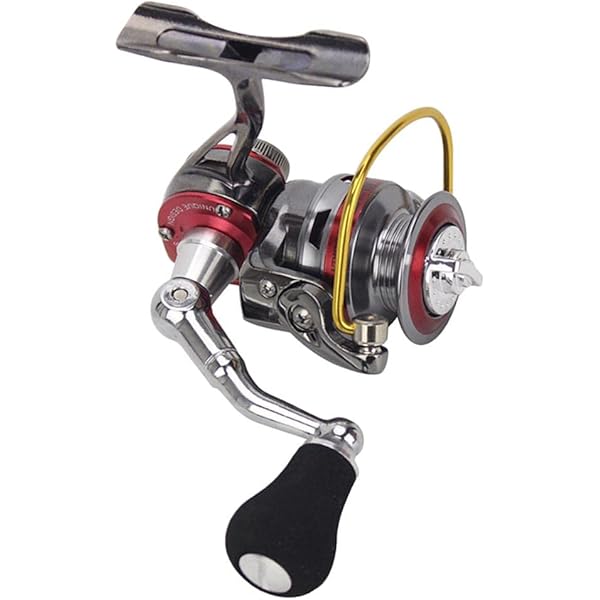 DAIWA CALDIA LT2500 ＆ SLP WORKS LTα2500S Unboxing my NEW SPINNING REEL - The Daiwa CALDIA LT 2500-XH