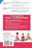 Image de The Wonder Weeks: How to Stimulate Your Baby's Mental Development and Help Him Turn His 10 Predictable, Great, Fussy Phases into Magical Leaps Forward