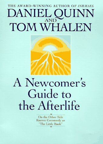 A Newcomer's Guide to the Afterlife
