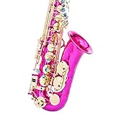 pulverlackierung ausbessern Das Debüt des Altsaxophons ist mit allem ausgestattet, was Sie brauchen, einschließlich Mundstücken, Hüten, Bändern, Schilf, Riemen und Reinigungszubehör, um Ihre Stimmung zu verbessern und Ihnen jeden Tag einen anderen Spaß zu bieten.