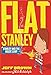 Stanley and the Magic Lamp (Flat Stanley) by Jeff Brown, Rob Biddulph