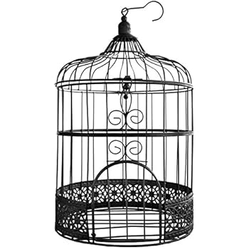 Santex 3871 11 Tirelire Cage Métal En Noir