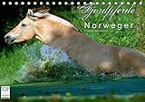 Fjordpferde - Norweger (Tischkalender 2016 DIN A5 quer): Kalender Fjordpferde / Norweger (Monatskalender, 14 Seiten ) (CALVENDO Tiere) by 