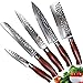 Produktbild YARENH Küchenmesser Set Scharf 5er - Damastmesser Kochmesser Set Aus Japanisches Damaststahl Klinge & Dalbergia Holzgriff,Damaszener Messerset Profi HTT-Serie