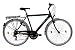 Produktbild tretwerk DIREKT gute Räder Milano 28 Zoll Herren Trekkingbike, Herren-Fahrrad 21-Gang Kettenschaltung, M