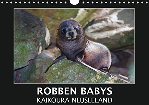 Robben Babys - Kaikoura Neuseeland (Wandkalender 2016 DIN A4 quer): Nehmen Sie teil am Leben und Spielen süßer Robbenkinder in ihrer natürlichen ... (Monatskalender, 14 Seiten ) (CALVENDO Tiere)