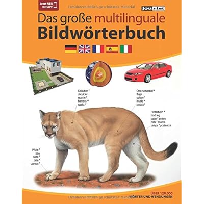 JOURIST Das große multilinguale Bildwörterbuch Deutsch-Englisch-Französisch-Spanisch-Italienisch: 120.000 Wörter und Wendungen