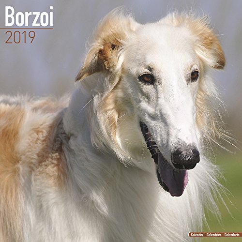 Preisvergleich Produktbild Borzoi – Russischer Wolfshund 2019 (Wall-Kalender)