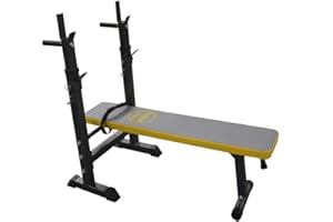 D pro T Weight Training Bench Multi Gym Fitness Preacher butterfly Exercise Incline Back