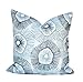 Produktbild EstherBur87 EIN Scott Living Kissenbezug Grey Blue Nautical Pillow dekoratives Wurfkissen HGTV-Kissen Akzent Kissen geometrischer Kissenbezug