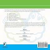 Image de The Brain Buddies: Right Brain Stimulation Activities (0-6years)