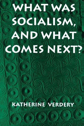 What Was Socialism, and What Comes Next? (Princeton Studies in Culture/Power/History)
