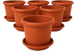 2friends Lot de 6 pots de fleurs élégants de grande taille en terre cuite : pot de 30 cm de qualité supérieure avec soucoupe – Grand pot de fleurs allemand pour toutes les conditions météorologiques