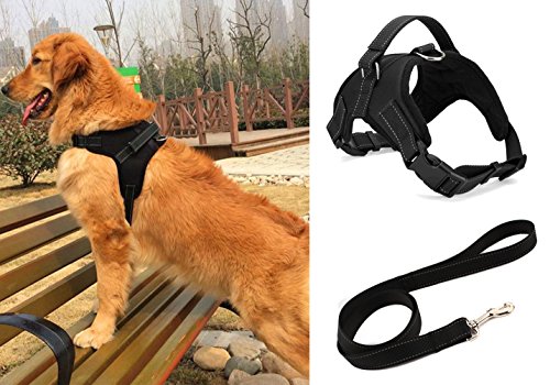 Liying-Padded-Adjustable-Non-Pull-Dog-Harness-Black-Leash-Lead-120cm-Safety-Reflective-Heavy-Duty-Chest-Back-Collar-With-Handles-for-Small-Medium-Large-Pet