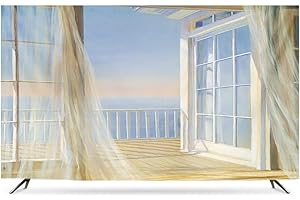 HBLZGBL 55" Indoor-TV-Abdeckung, Schutzhülle TV Polyester-Gewebe Umweltfreundliches Drucken und Färben Staubdicht und wasserdicht für Flat Curved TV, Smart TVs (Color : B, Size : 55")