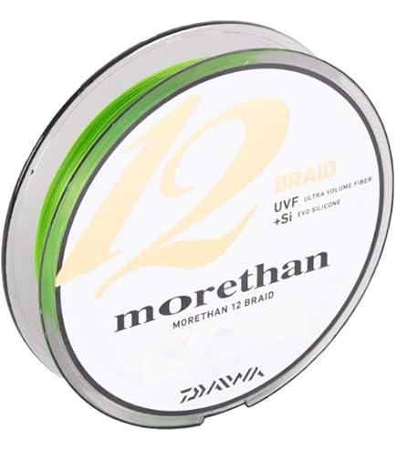 Fil De Pêche Tressé Daiwa Saltiga 12 Braid ExSi - 300 M, Multicolore, Enduit Silicone - Haute Résistance 24,8 Kg - 3