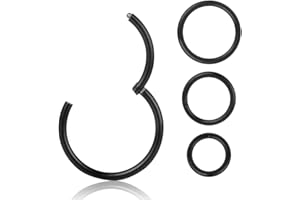 WHATOOK Surgical Stainless Steel Cartilage Earrings,Segment Hinged Seamless Eyebrow Eye Nose Septum Lip Hoop, 6mm 8mm 10mm 12mm 4 Pcs Clicker Ear Belly Button Hoop Piercing Ring Set Unisex