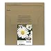 Produktbild Epson Original T1816 Gänseblümchen, Claria Home Tinte, Text- und Fotodruck XL (Multipack, 4-farbig) (CYMK)