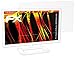 Price comparison product image atFoliX Protector Film for Iiyama G-Master GB2788HS-B2 Screen Protection Film - FX-Antireflex-HD High-resolution anti-reflective Screen Protector