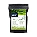 KimiNo Japanese Matcha Green Tea Powder - 100 gms - JAS Certified Matcha (Free Recipe EBook) RS.1199.00