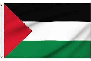 WOILTRYN Flag 5ft x 3ft, Large Flags with Brass Eyelets Vivid Colours for Inside and Outdoor Garden Solidarity Day Decorations