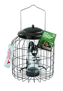 Gardman Heavy Duty Squirrel Proof Seed Bird Feeder B00gayur2g