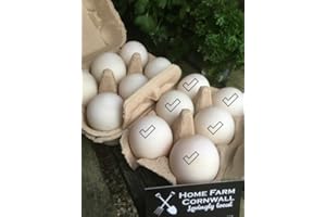 HOME FARM CORNWALL - LOVINGLY LOCAL Free Range Duck Eggs (6)