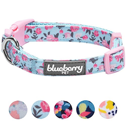 Preisvergleich Produktbild Blueberry Pet Muster