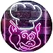 Produktbild ADVPRO BBQ Pig Restaurant Food Open Shop Dual Color LED Barlicht Neonlicht Lichtwerbung Neon Sign White & Purple 8.5" x 12" st6s23-i3152-wp