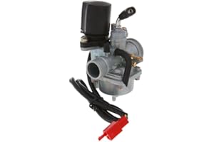 MOTORSPORTGOETZ Vergaser Pegasus Sky 50