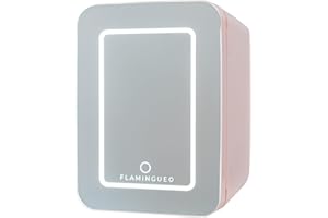 Flamingueo Frigorifero Piccolo 10L - Mini Frigo Specchio e LED, 12V/220V, Mini Frigo da Camera, Frigo da Ufficio, Raffreddamento e Riscaldamento