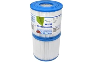 Darlly europe Lot de 2 Filtres pour Spa 40352 / PRB17.5SF / C-4401