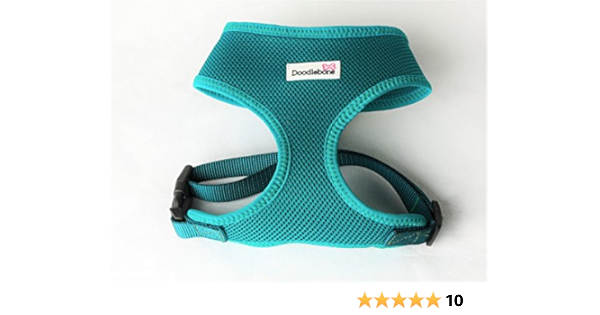 teal harness