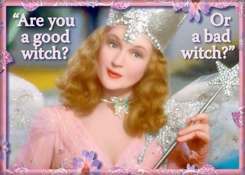 GOOD WITCH BAD WITCH MAGNET by ATA BOY INC