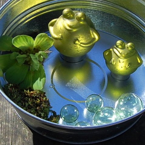 Miniteich mit Zinkwanne Glasschwimmkugeln Schwimmfrosch und Wasserpflanzen - 3