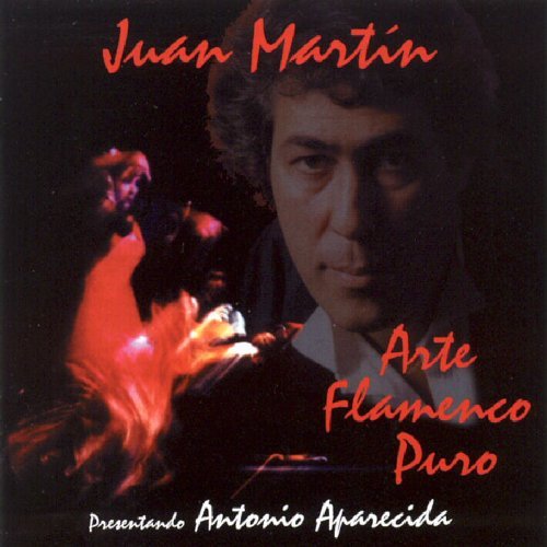 Preisvergleich Produktbild Arte Flamenco Puro by Juan Martin (1999-05-12)