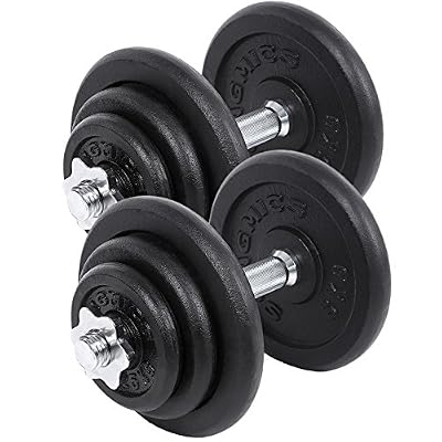 Songmics lot de 2 haltères courts en fonte, 40kg