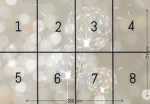 FOTOTAPETE ,,Blown Dandelion 107′ 366cm x 254cm Pusteblume Blume Pflanze Wand Dekoration Tapete inklusiv Kleister - 3