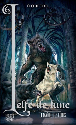 couverture de : Le ma&icirc;tre des loups